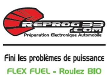Reprog 33